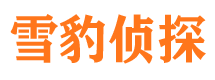 松阳寻人公司